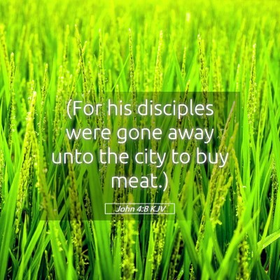 Picture 05 - John 4:8 KJV - (For his disciples were gone away unto the city - Bible Verse Picture