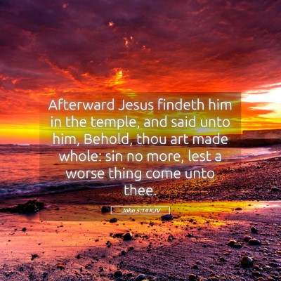 Picture 05 - John 5:14 KJV - Afterward Jesus findeth him in the temple, and - Bible Verse Picture