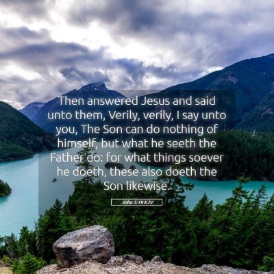 Picture 05 - John 5:19 KJV - Then answered Jesus and said unto them, Verily, - Bible Verse Picture