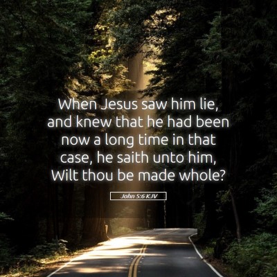 Picture 05 - John 5:6 KJV - When Jesus saw him lie, and knew that he had been - Bible Verse Picture