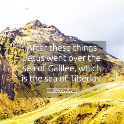 Picture 05 - John 6:1 KJV - After these things Jesus went over the sea of - Bible Verse Picture