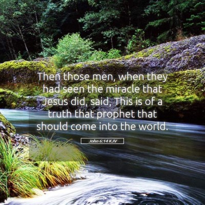 Picture 05 - John 6:14 KJV - Then those men, when they had seen the miracle - Bible Verse Picture