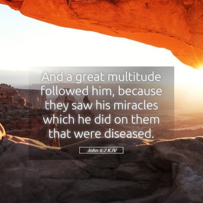Picture 05 - John 6:2 KJV - And a great multitude followed him, because they - Bible Verse Picture