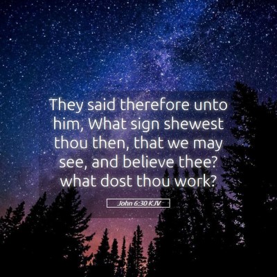 Picture 05 - John 6:30 KJV - They said therefore unto him, What sign shewest - Bible Verse Picture