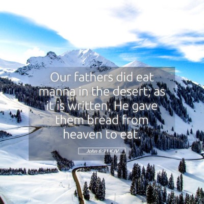 Picture 05 - John 6:31 KJV - Our fathers did eat manna in the desert; as it is - Bible Verse Picture
