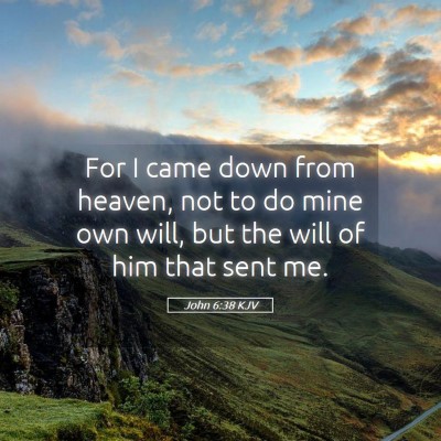 Picture 05 - John 6:38 KJV - For I came down from heaven, not to do mine own - Bible Verse Picture