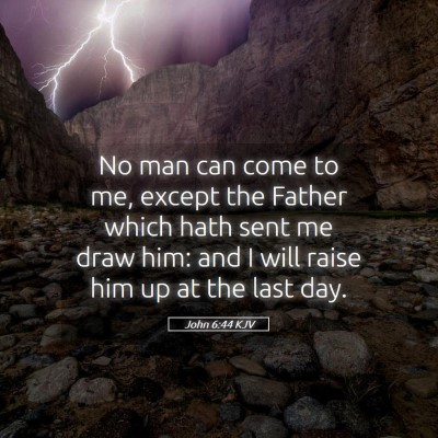 Picture 05 - John 6:44 KJV - No man can come to me, except the Father which - Bible Verse Picture
