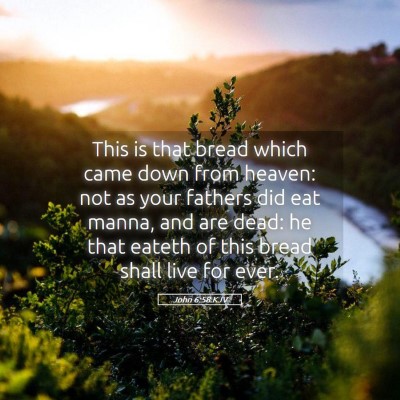 Picture 05 - John 6:58 KJV - This is that bread which came down from heaven: - Bible Verse Picture