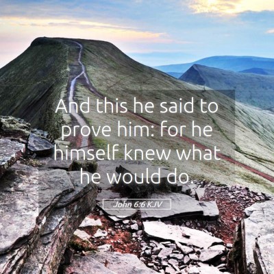 Picture 05 - John 6:6 KJV - And this he said to prove him: for he himself - Bible Verse Picture