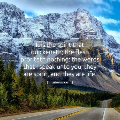 Picture 05 - John 6:63 KJV - It is the spirit that quickeneth; the flesh - Bible Verse Picture