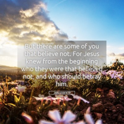 Picture 05 - John 6:64 KJV - But there are some of you that believe not. For - Bible Verse Picture