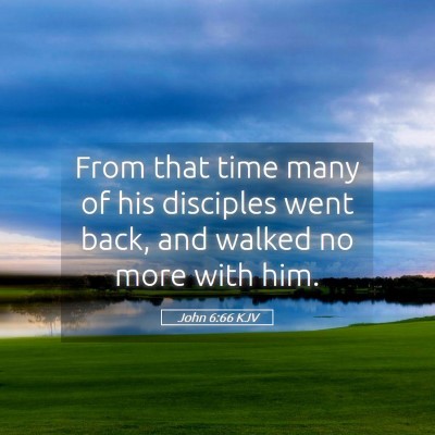 Picture 05 - John 6:66 KJV - From that time many of his disciples went back, - Bible Verse Picture