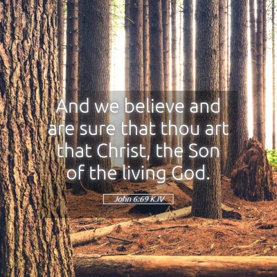 Picture 05 - John 6:69 KJV - And we believe and are sure that thou art that - Bible Verse Picture