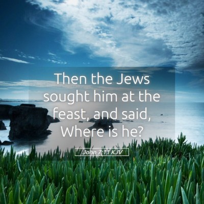 Picture 05 - John 7:11 KJV - Then the Jews sought him at the feast, and said, - Bible Verse Picture