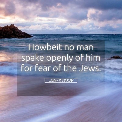 Picture 05 - John 7:13 KJV - Howbeit no man spake openly of him for fear of - Bible Verse Picture
