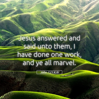 Picture 05 - John 7:21 KJV - Jesus answered and said unto them, I have done - Bible Verse Picture