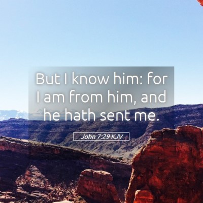 Picture 05 - John 7:29 KJV - But I know him: for I am from him, and he hath - Bible Verse Picture