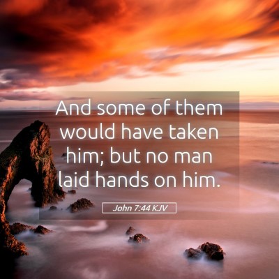 Picture 05 - John 7:44 KJV - And some of them would have taken him; but no man - Bible Verse Picture