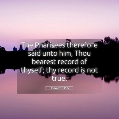Picture 05 - John 8:13 KJV - The Pharisees therefore said unto him, Thou - Bible Verse Picture