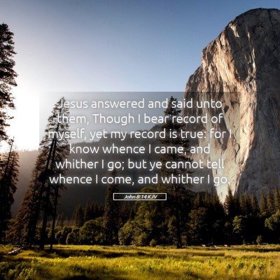 Picture 05 - John 8:14 KJV - Jesus answered and said unto them, Though I bear - Bible Verse Picture