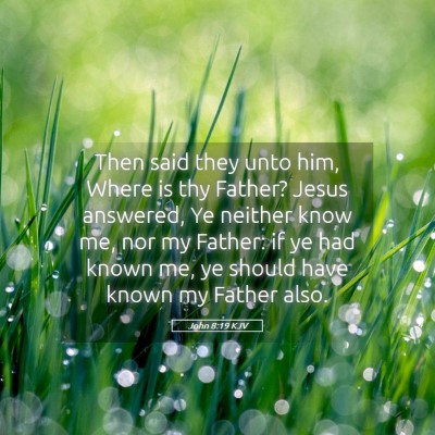 Picture 05 - John 8:19 KJV - Then said they unto him, Where is thy Father? - Bible Verse Picture