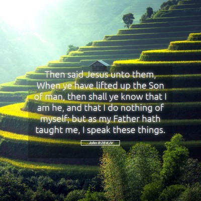 Picture 05 - John 8:28 KJV - Then said Jesus unto them, When ye have lifted up - Bible Verse Picture