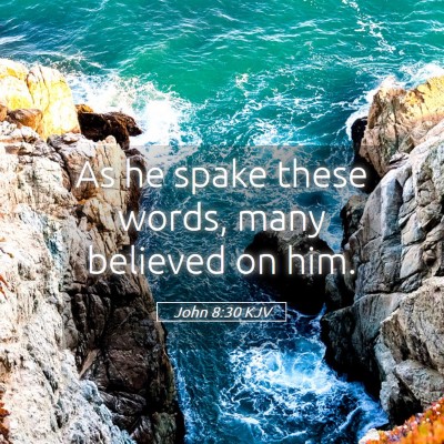 Picture 05 - John 8:30 KJV - As he spake these words, many believed on - Bible Verse Picture