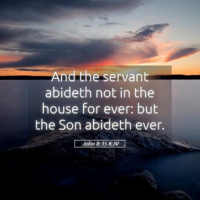 Picture 05 - John 8:35 KJV - And the servant abideth not in the house for - Bible Verse Picture