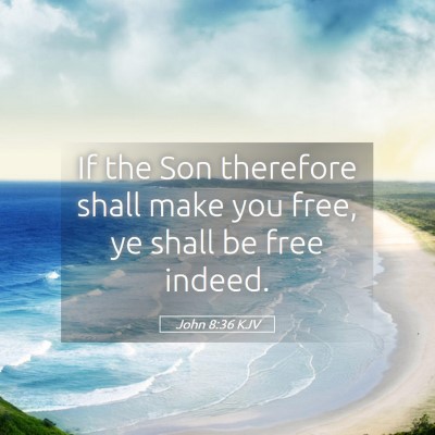 Picture 05 - John 8:36 KJV - If the Son therefore shall make you free, ye - Bible Verse Picture