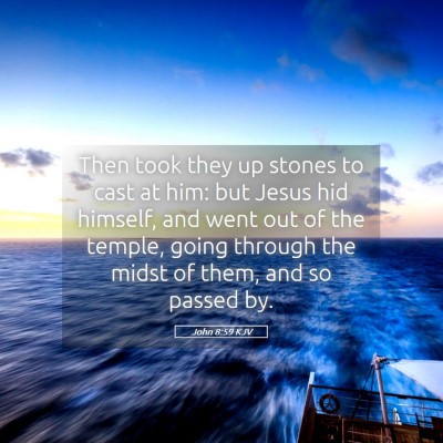 Picture 05 - John 8:59 KJV - Then took they up stones to cast at him: but - Bible Verse Picture