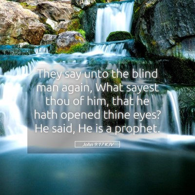 Picture 05 - John 9:17 KJV - They say unto the blind man again, What sayest - Bible Verse Picture