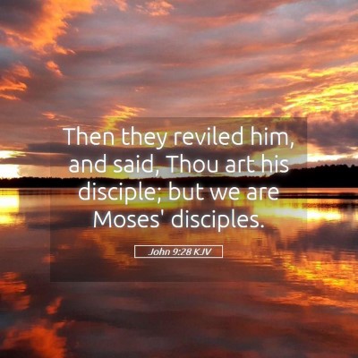 Picture 05 - John 9:28 KJV - Then they reviled him, and said, Thou art his - Bible Verse Picture