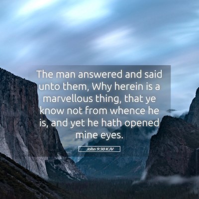 Picture 05 - John 9:30 KJV - The man answered and said unto them, Why herein - Bible Verse Picture
