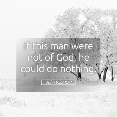 Picture 05 - John 9:33 KJV - If this man were not of God, he could do - Bible Verse Picture