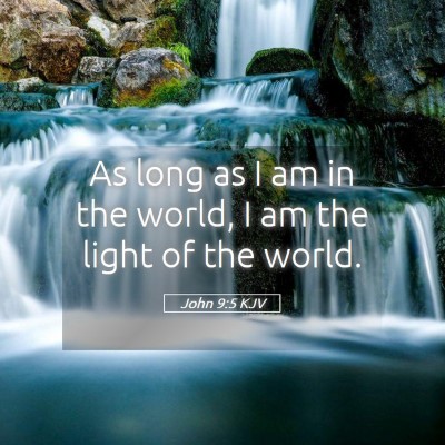 Picture 05 - John 9:5 KJV - As long as I am in the world, I am the light of - Bible Verse Picture