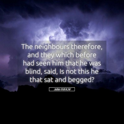 Picture 05 - John 9:8 KJV - The neighbours therefore, and they which before - Bible Verse Picture