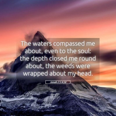 Picture 05 - Jonah 2:5 KJV - The waters compassed me about, even to the soul: - Bible Verse Picture