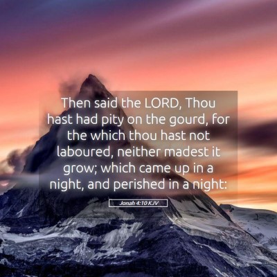 Picture 05 - Jonah 4:10 KJV - Then said the LORD, Thou hast had pity on the - Bible Verse Picture