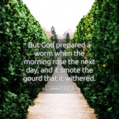 Picture 05 - Jonah 4:7 KJV - But God prepared a worm when the morning rose the - Bible Verse Picture