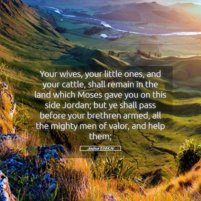 Picture 05 - Joshua 1:14 KJV - Your wives, your little ones, and your cattle, - Bible Verse Picture