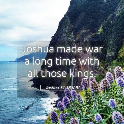 Picture 05 - Joshua 11:18 KJV - Joshua made war a long time with all those - Bible Verse Picture