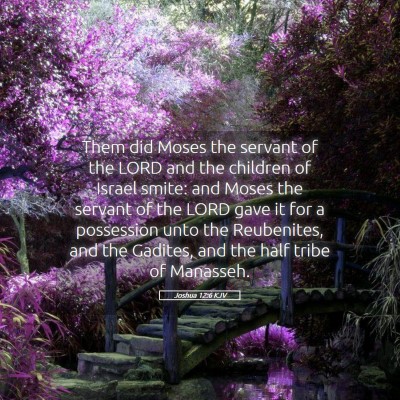 Picture 05 - Joshua 12:6 KJV - Them did Moses the servant of the LORD and the - Bible Verse Picture