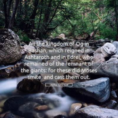 Picture 05 - Joshua 13:12 KJV - All the kingdom of Og in Bashan, which reigned in - Bible Verse Picture