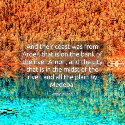 Picture 05 - Joshua 13:16 KJV - And their coast was from Aroer, that is on the - Bible Verse Picture