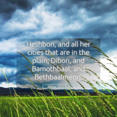 Picture 05 - Joshua 13:17 KJV - Heshbon, and all her cities that are in the - Bible Verse Picture