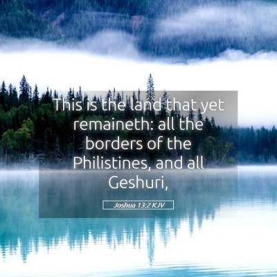 Picture 05 - Joshua 13:2 KJV - This is the land that yet remaineth: all the - Bible Verse Picture