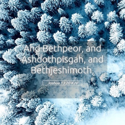 Picture 05 - Joshua 13:20 KJV - And Bethpeor, and Ashdothpisgah, and - Bible Verse Picture