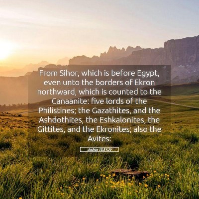 Picture 05 - Joshua 13:3 KJV - From Sihor, which is before Egypt, even unto the - Bible Verse Picture