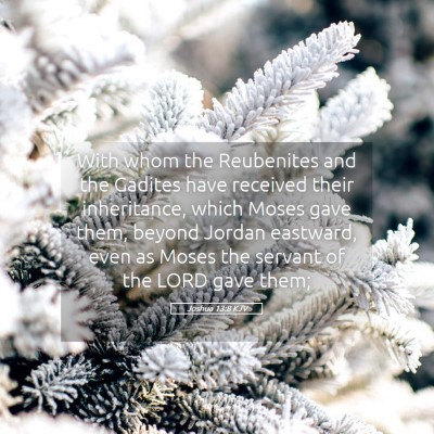 Picture 05 - Joshua 13:8 KJV - With whom the Reubenites and the Gadites have - Bible Verse Picture