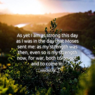 Picture 05 - Joshua 14:11 KJV - As yet I am as strong this day as I was in the - Bible Verse Picture